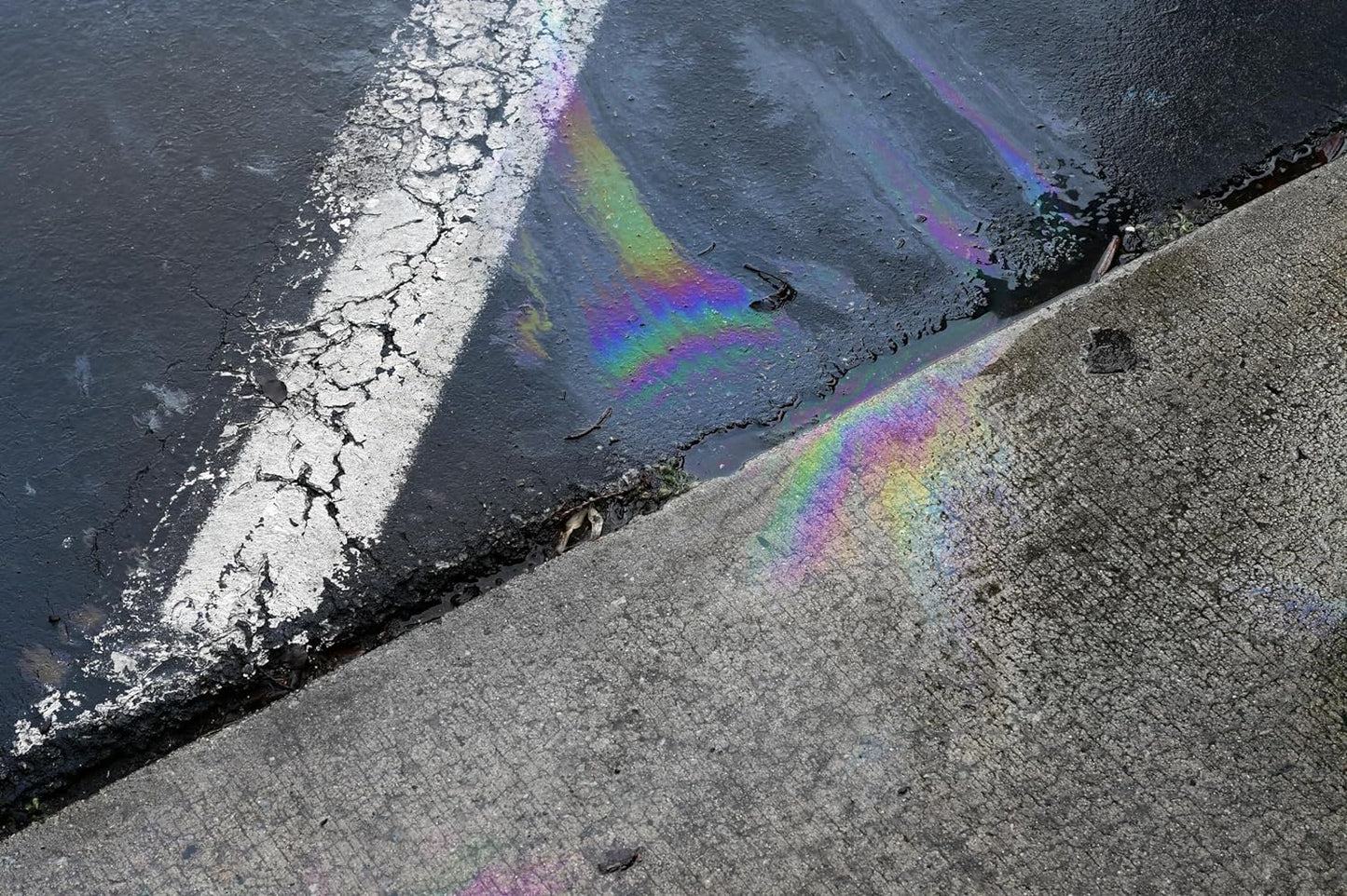 Spill Absorbent Pads - Oil