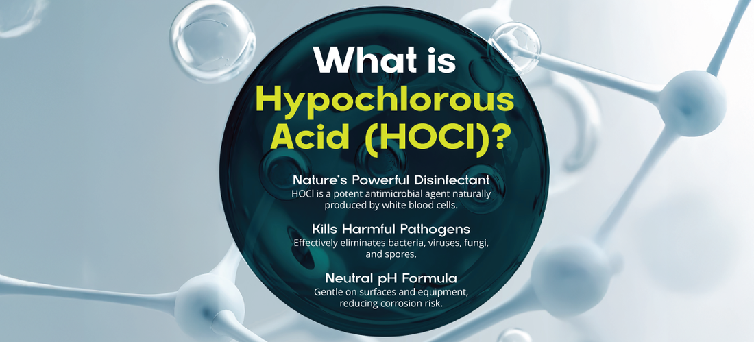 What is Hypochlorous Acid (HOCl)? Why you should be using it to fight off bacteria and viruses.