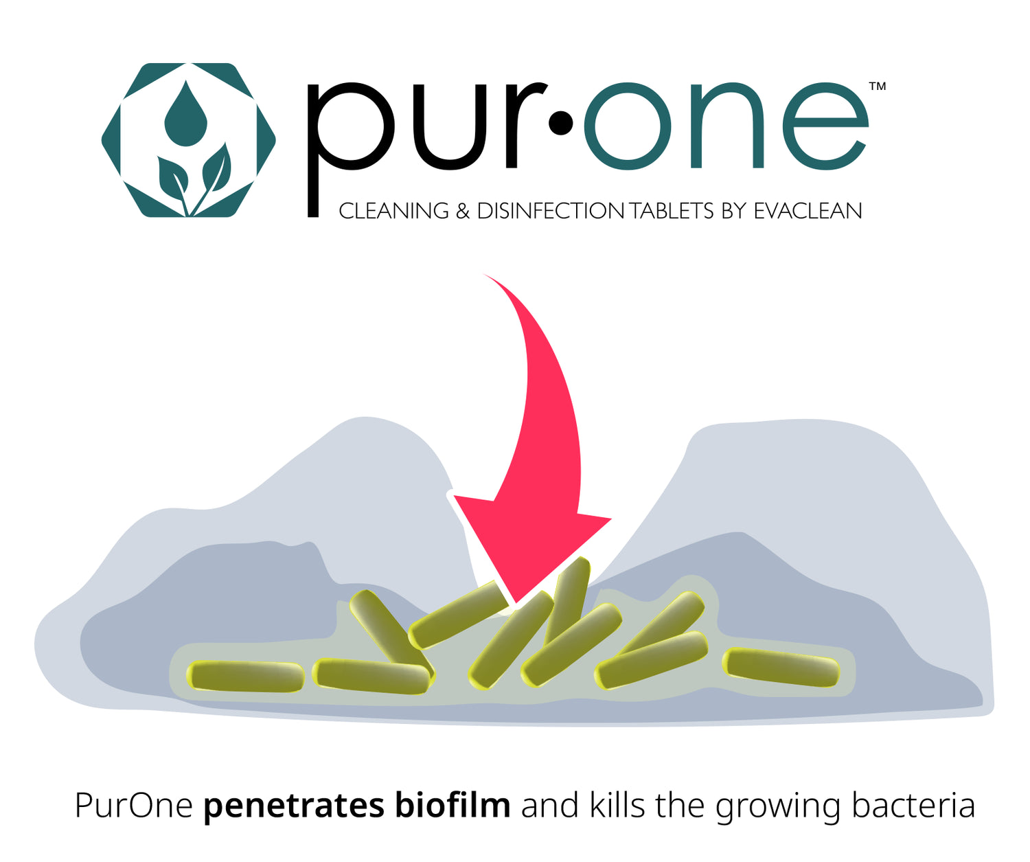 infographic with arrow demonstrating PurOne penetrating biofilm encasement 